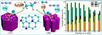 Researchers Develop New Electrocatalysts to Convert CO2 into Value-added Chemicals