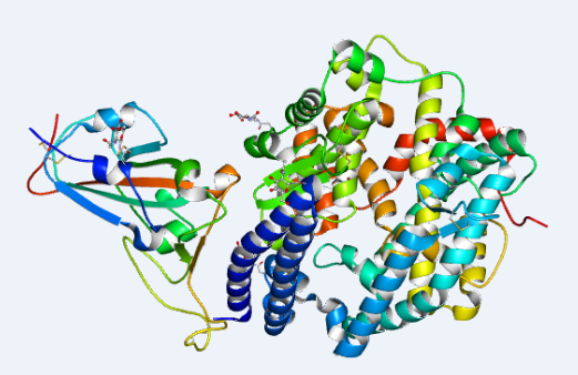 SSRF Helps on the COVID-19 Structure Determination to Understand the Infection Mechanism and Drugs R&D
