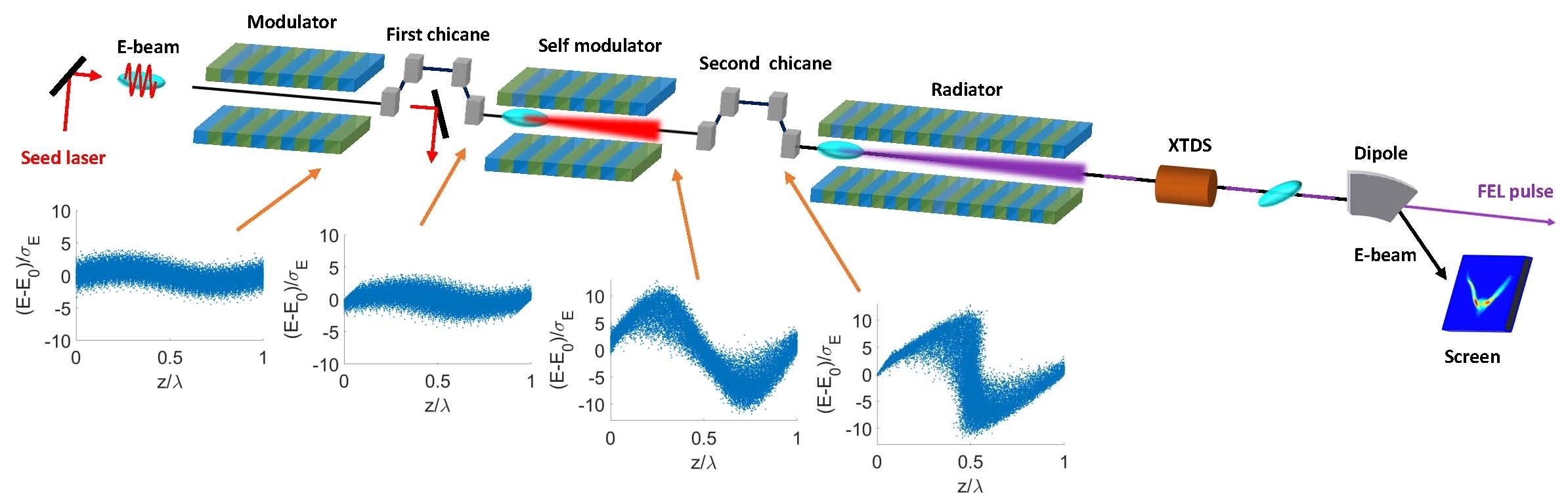 Scientists Propose a Novel Self-modulation Scheme in Seeded Free-Electron Lasers