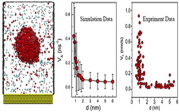 Scientists Reveal How Gas Nanobubbles Accelerate Solid-liquid-gas Reaction