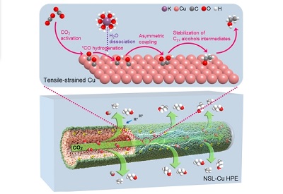 Researchers Propose a Novel Cu Electrode for Efficient Electrocatalytic Conversion of CO<sub>2</sub>