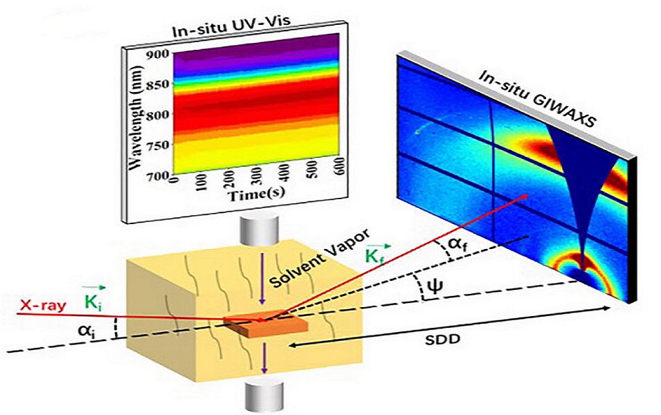 Shanghai Synchrotron Radiation Facility Deciphers Real-Time Morphology Evolution in All-Polymer Solar Cells During Solvent Vapor 