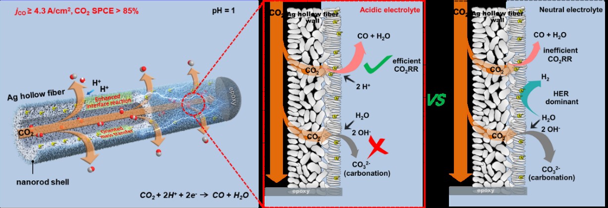 ​Researchers Propose a Novel Ag Electrode for Efficient Electrocatalytic Conversion of CO2