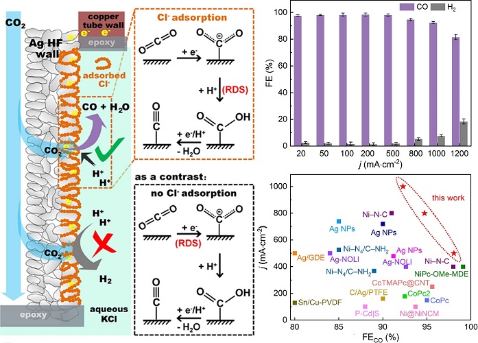 Researchers Proposed a Facile Tactic to Enhance Electrocatalytic Conversion of Carbon Dioxide