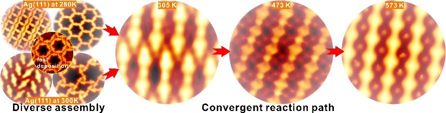 Scientists Reveal the Uniqueness of Ullmann Reaction Path